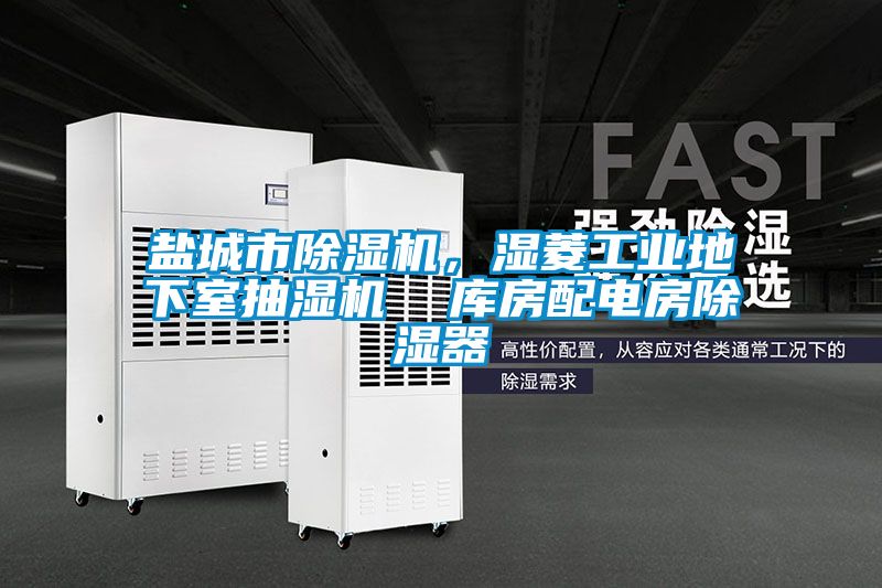 鹽城市除濕機(jī)，濕菱工業(yè)地下室抽濕機(jī)  庫房配電房除濕器