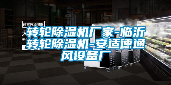 轉(zhuǎn)輪除濕機廠家-臨沂轉(zhuǎn)輪除濕機-安適德通風設(shè)備廠