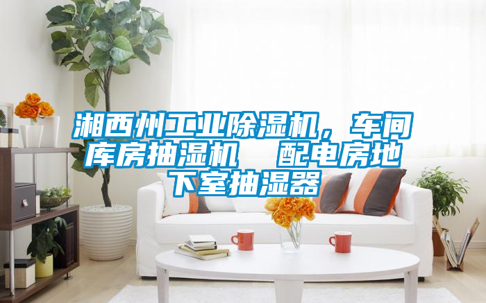 湘西州工業除濕機，車間庫房抽濕機  配電房地下室抽濕器
