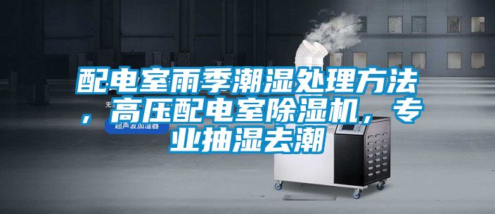 配電室雨季潮濕處理方法,高壓配電室除濕機(jī),專業(yè)抽濕去潮