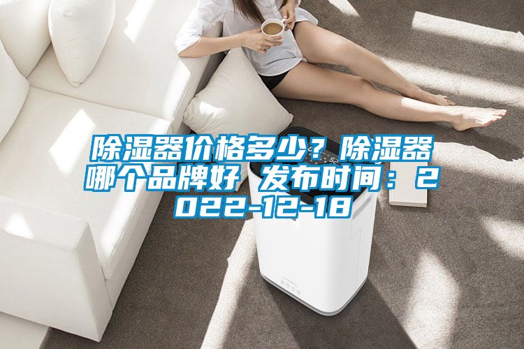 除濕器價格多少？除濕器哪個品牌好 發(fā)布時間：2022-12-18