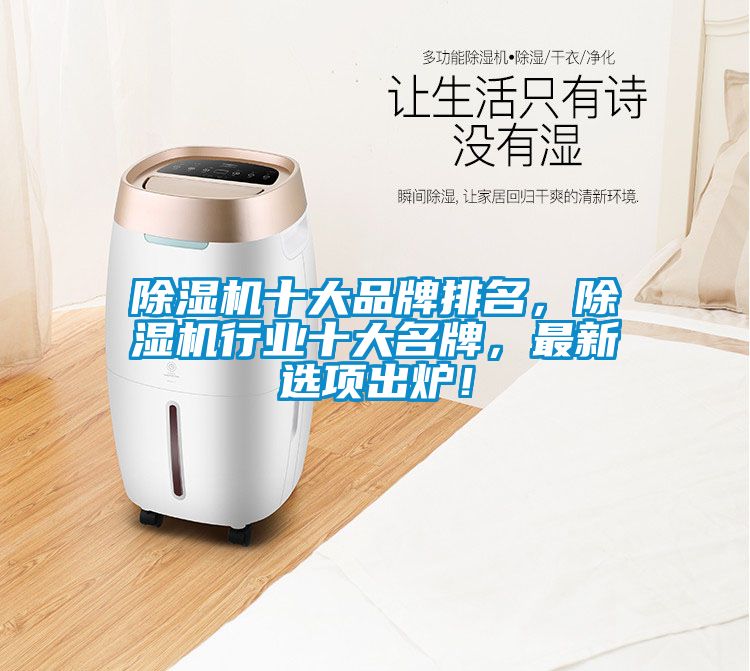 除濕機十大品牌排名，除濕機行業十大名牌，最新選項出爐！