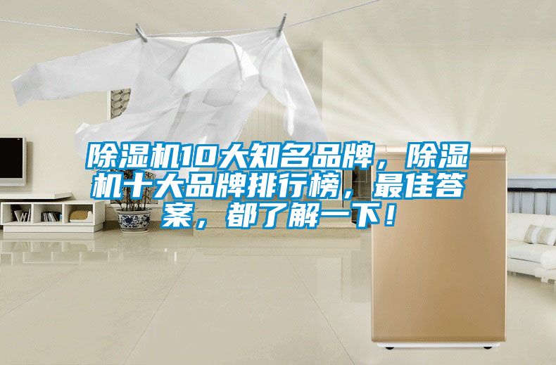 除濕機10大知名品牌,除濕機十大品牌排行榜,最佳答案,都了解一下!