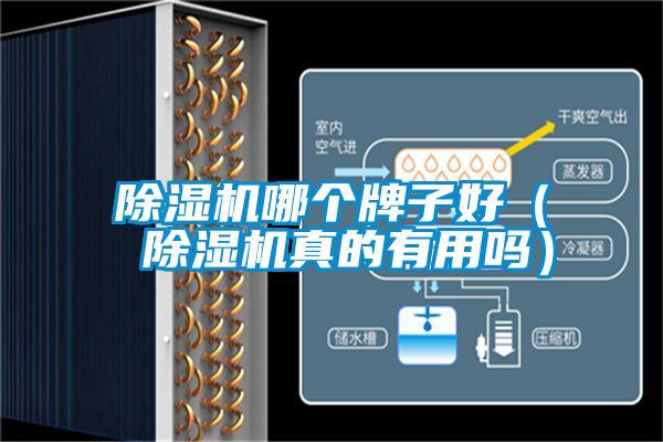 除濕機哪個牌子好( 除濕機真的有用嗎)