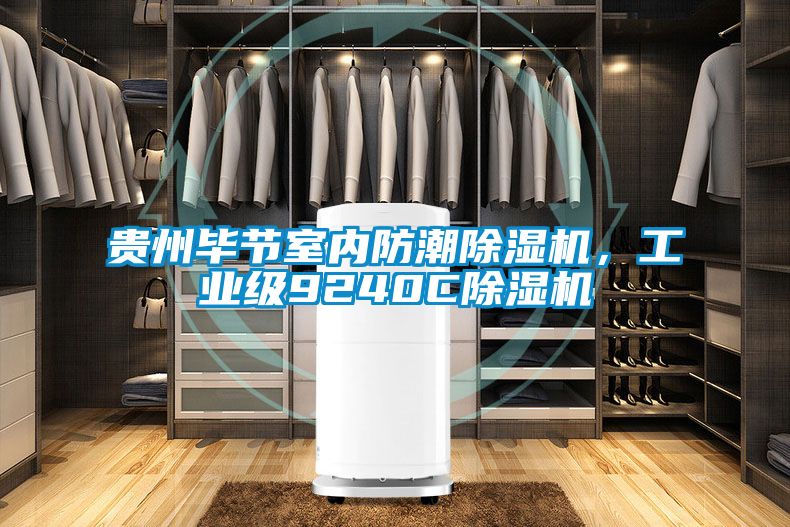 貴州畢節室內防潮除濕機,工業級9240C除濕機