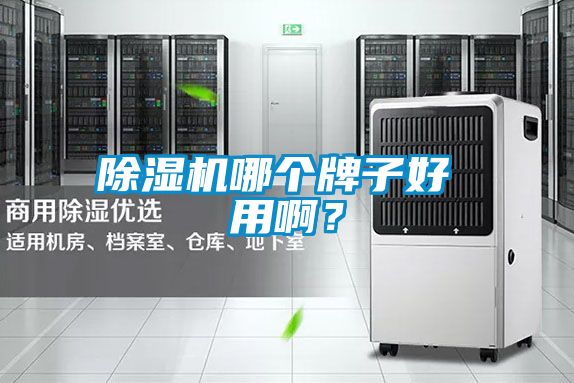 除濕機哪個牌子好 用??？