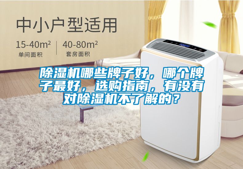 除濕機(jī)哪些牌子好,哪個(gè)牌子最好,選購指南,有沒有對(duì)除濕機(jī)不了解的?