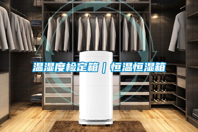 溫濕度檢定箱|恒溫恒濕箱