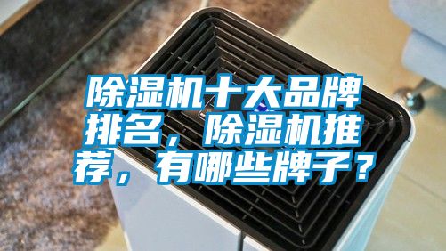 除濕機十大品牌排名，除濕機推薦，有哪些牌子？