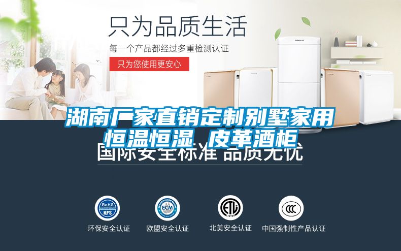 湖南廠(chǎng)家直銷(xiāo)定制別墅家用恒溫恒濕 皮革酒柜