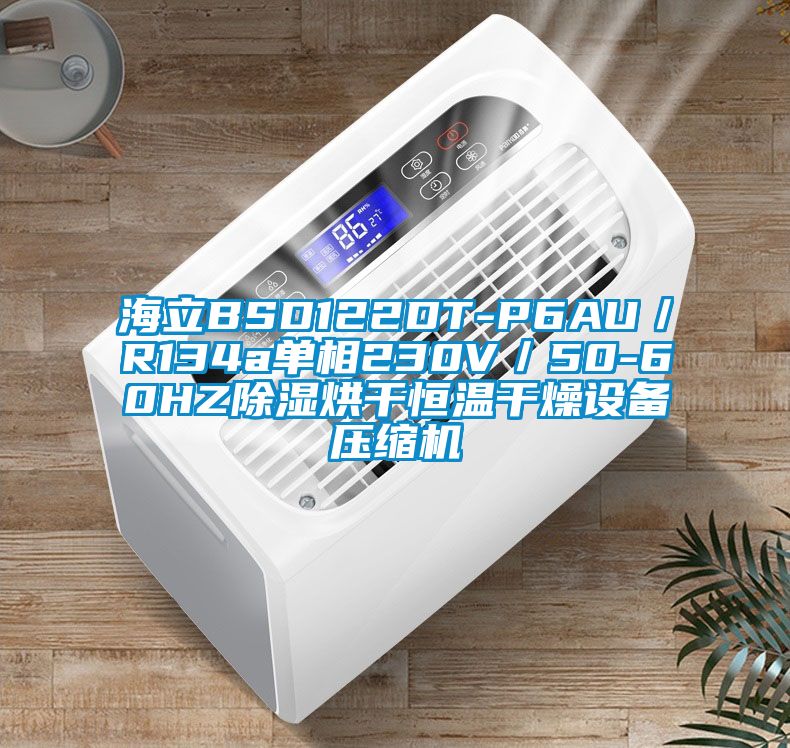 海立BSD122DT-P6AU/R134a單相230V/50-60HZ除濕烘干恒溫干燥設備壓縮機