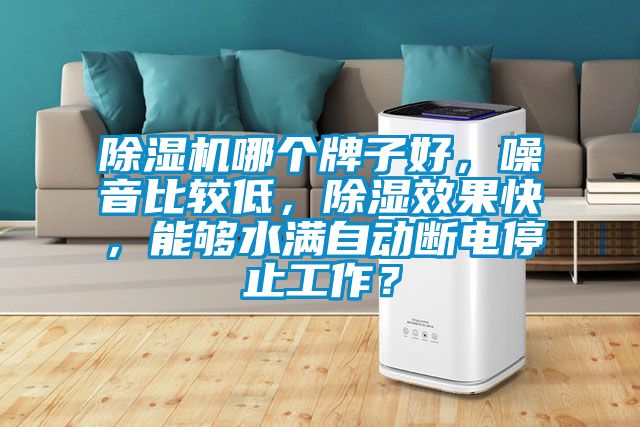 除濕機(jī)哪個牌子好,噪音比較低,除濕效果快,能夠水滿自動斷電停止工作?
