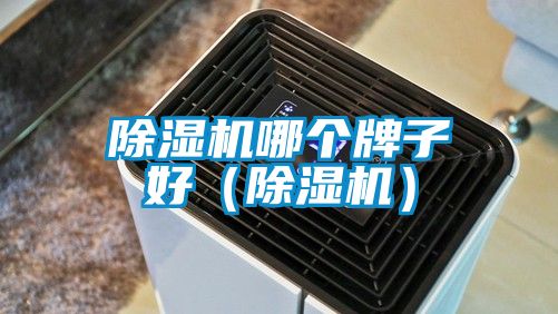 除濕機(jī)哪個(gè)牌子好(除濕機(jī))