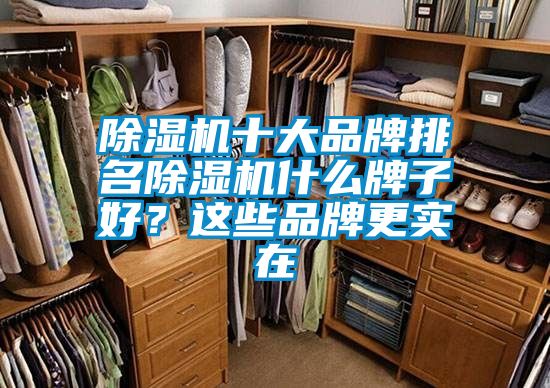 除濕機十大品牌排名除濕機什么牌子好？這些品牌更實在