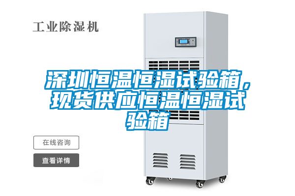 深圳恒溫恒濕試驗箱,現貨供應恒溫恒濕試驗箱