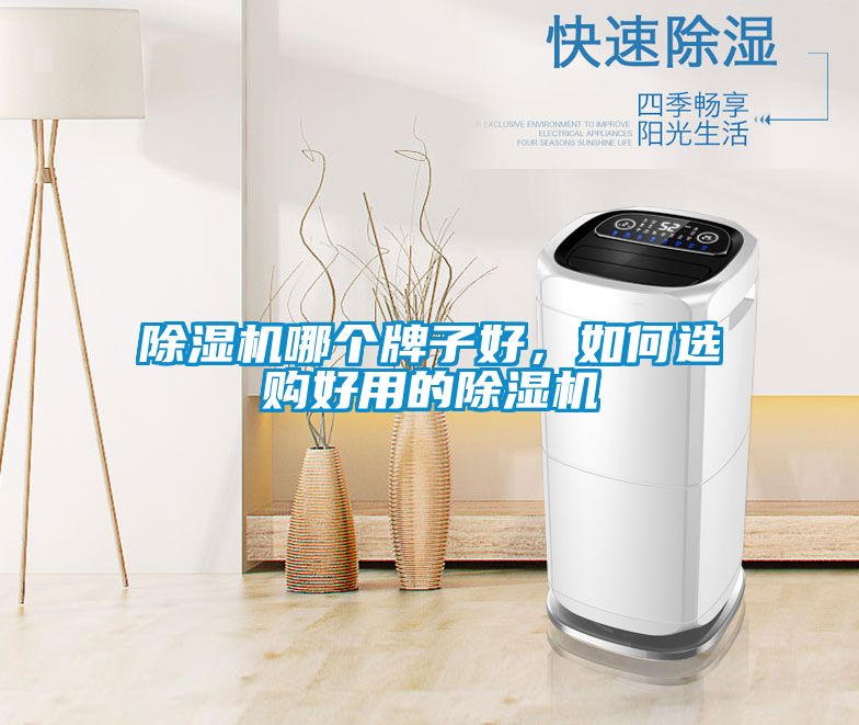 除濕機哪個牌子好,如何選購好用的除濕機