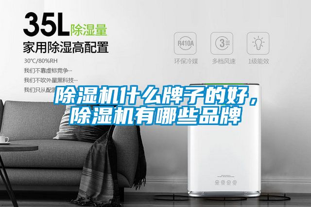 除濕機什么牌子的好,除濕機有哪些品牌