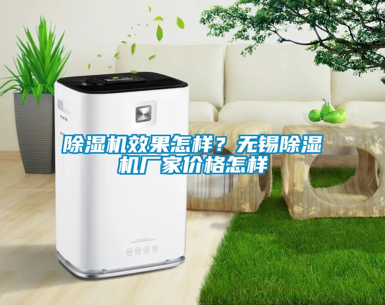 除濕機(jī)效果怎樣?無(wú)錫除濕機(jī)廠家價(jià)格怎樣