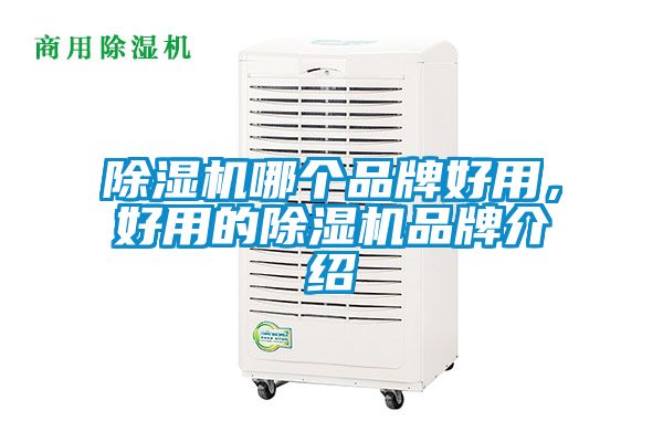 除濕機哪個品牌好用,好用的除濕機品牌介紹