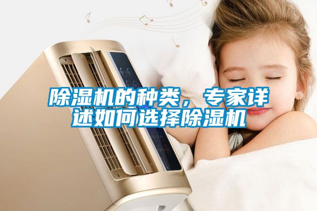 除濕機的種類,專家詳述如何選擇除濕機
