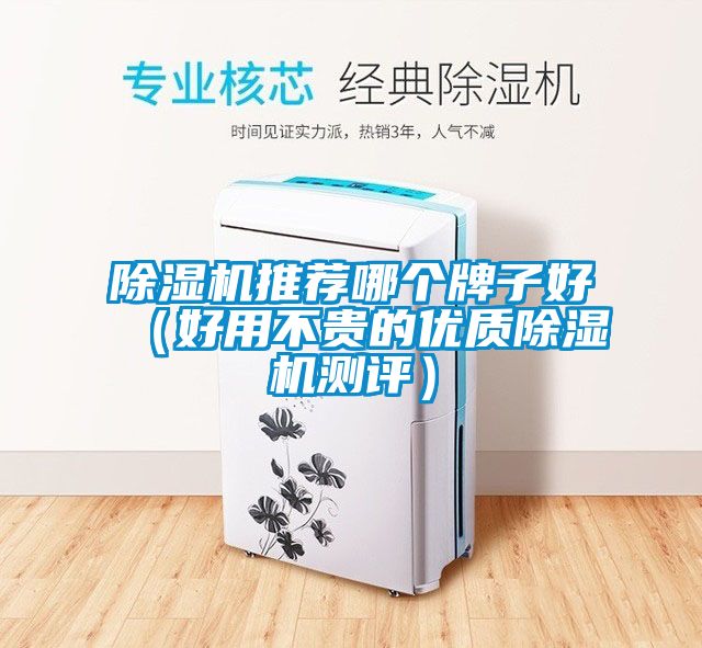 除濕機推薦哪個牌子好(好用不貴的優(yōu)質(zhì)除濕機測評)