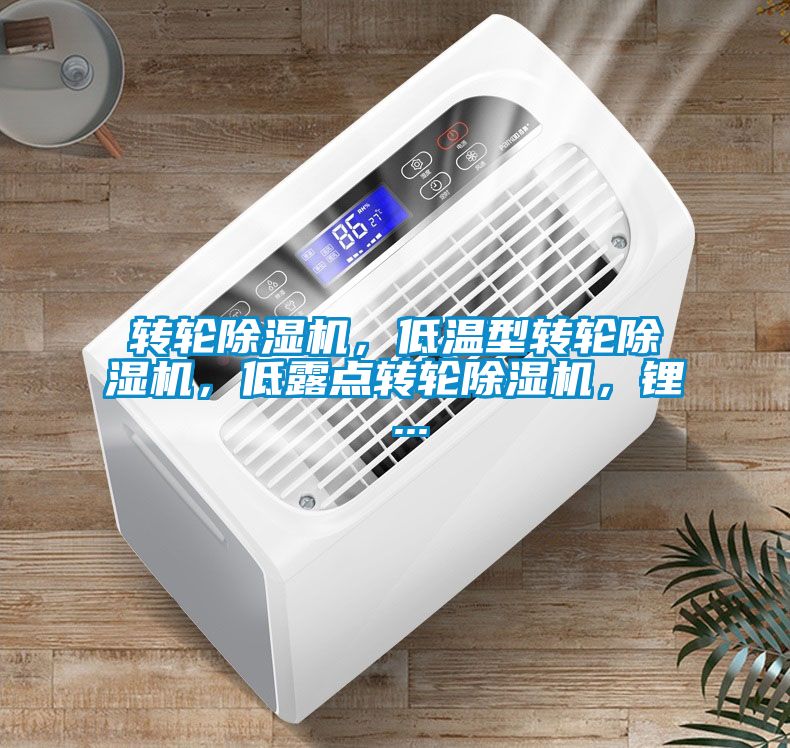 轉輪除濕機,低溫型轉輪除濕機,低露點轉輪除濕機,鋰 ...