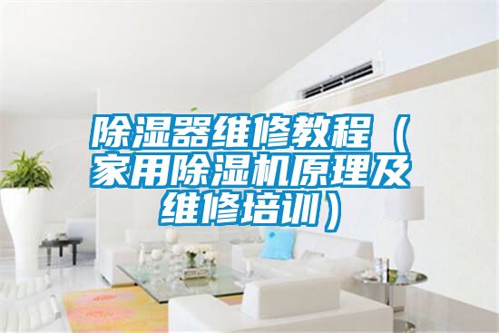 除濕器維修教程(家用除濕機原理及維修培訓)