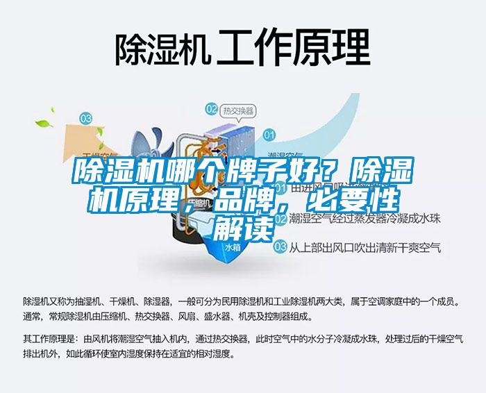 除濕機(jī)哪個(gè)牌子好?除濕機(jī)原理,品牌,必要性解讀