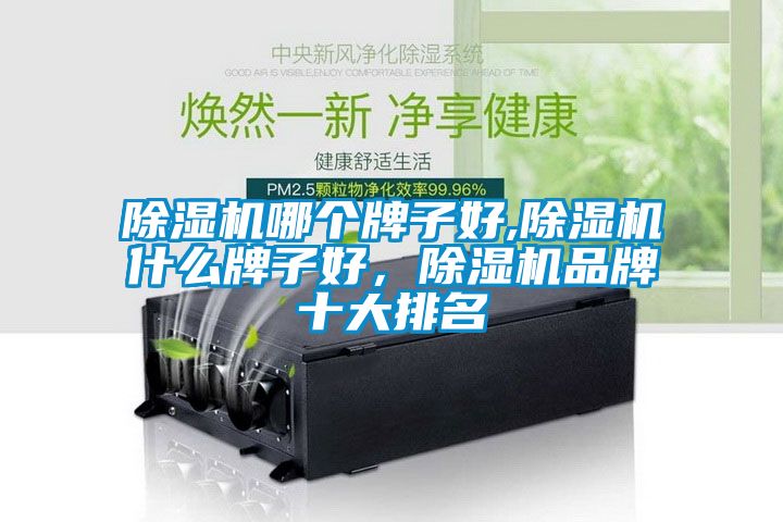除濕機哪個牌子好,除濕機什么牌子好，除濕機品牌十大排名