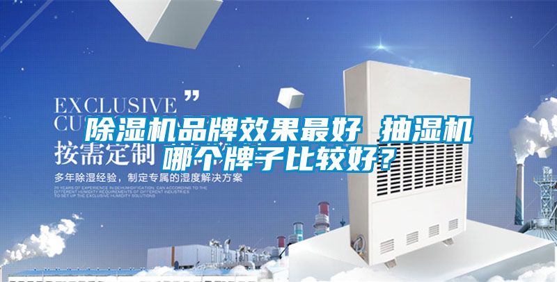 除濕機(jī)品牌效果最好 抽濕機(jī)哪個(gè)牌子比較好?
