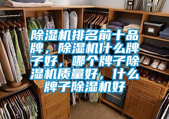除濕機排名前十品牌,除濕機什么牌子好,哪個牌子除濕機質量好,什么牌子除濕機好