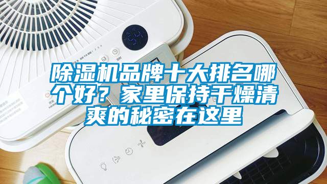 除濕機品牌十大排名哪個好?家里保持干燥清爽的秘密在這里