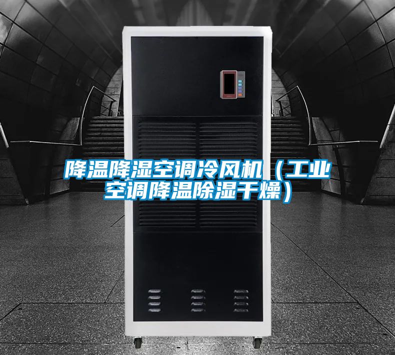 降溫降濕空調冷風機(工業空調降溫除濕干燥)