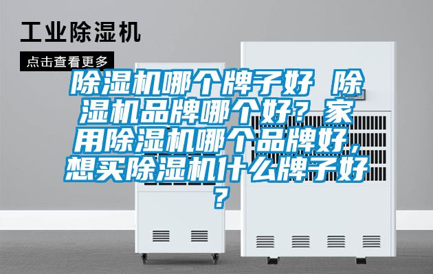 除濕機哪個牌子好 除濕機品牌哪個好？家用除濕機哪個品牌好，想買除濕機什么牌子好？