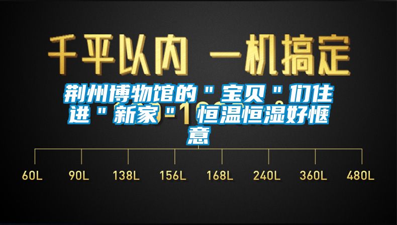 荊州博物館的"寶貝"們住進(jìn)"新家" 恒溫恒濕好愜意