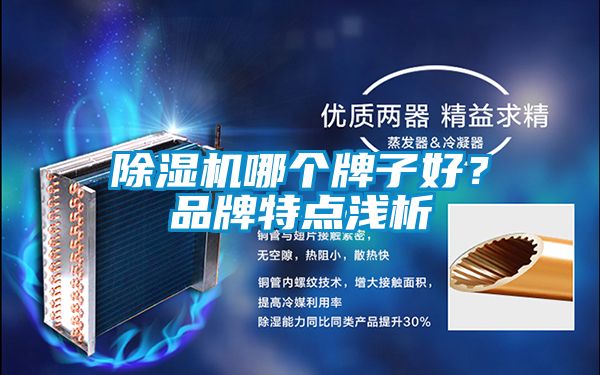 除濕機哪個牌子好?品牌特點淺析