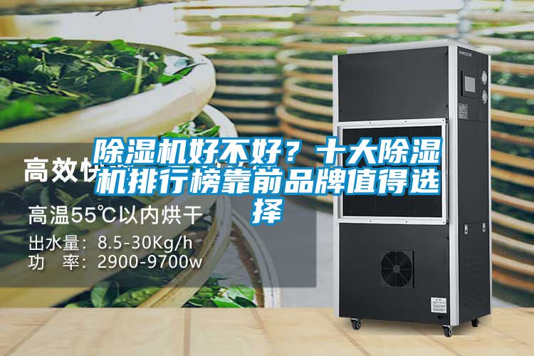除濕機好不好?十大除濕機排行榜靠前品牌值得選擇