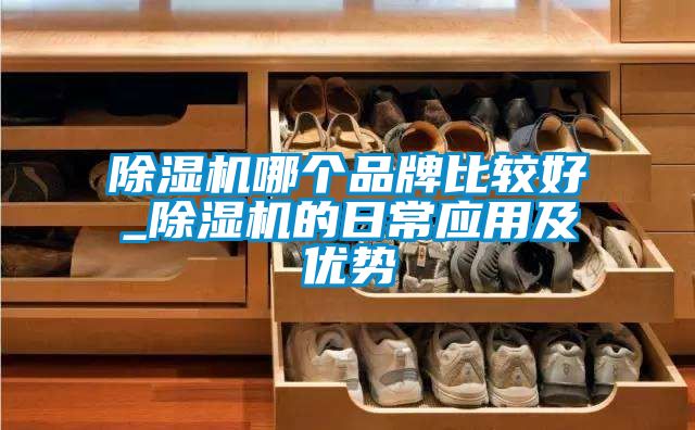 除濕機哪個品牌比較好_除濕機的日常應用及優勢