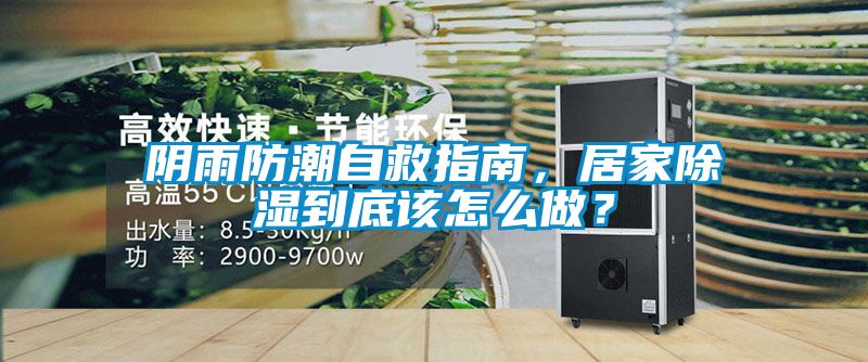 陰雨防潮自救指南,居家除濕到底該怎么做?