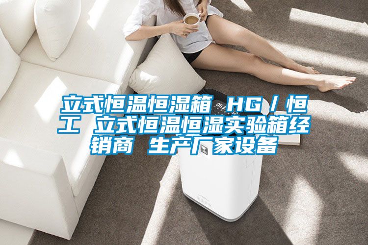 立式恒溫恒濕箱 HG/恒工 立式恒溫恒濕實(shí)驗(yàn)箱經(jīng)銷商 生產(chǎn)廠家設(shè)備