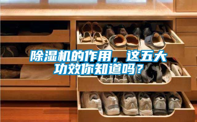 除濕機(jī)的作用，這五大功效你知道嗎？