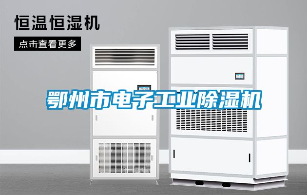 鄂州市電子工業除濕機