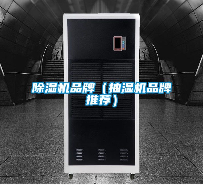 除濕機(jī)品牌(抽濕機(jī)品牌推薦)