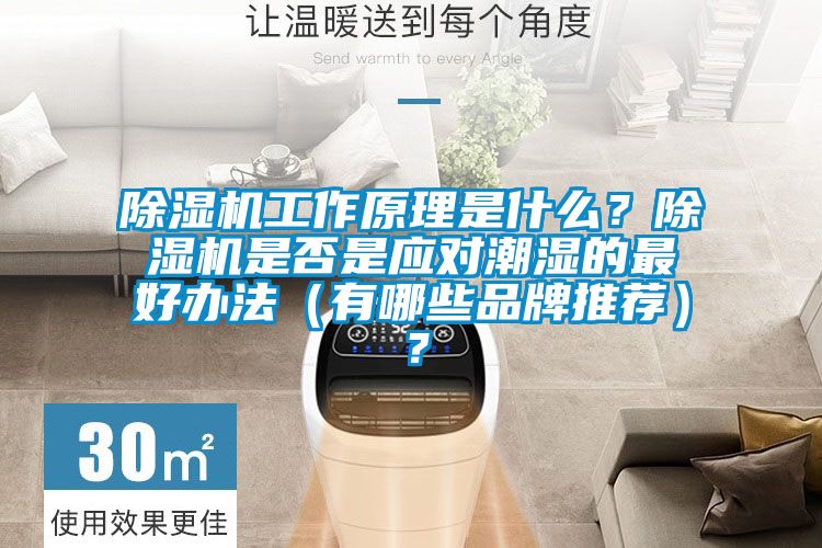 除濕機工作原理是什么?除濕機是否是應對潮濕的最好辦法(有哪些品牌推薦)?