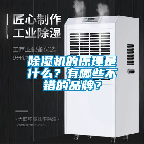 除濕機的原理是什么?有哪些不錯的品牌?