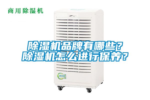 除濕機(jī)品牌有哪些?除濕機(jī)怎么進(jìn)行保養(yǎng)?