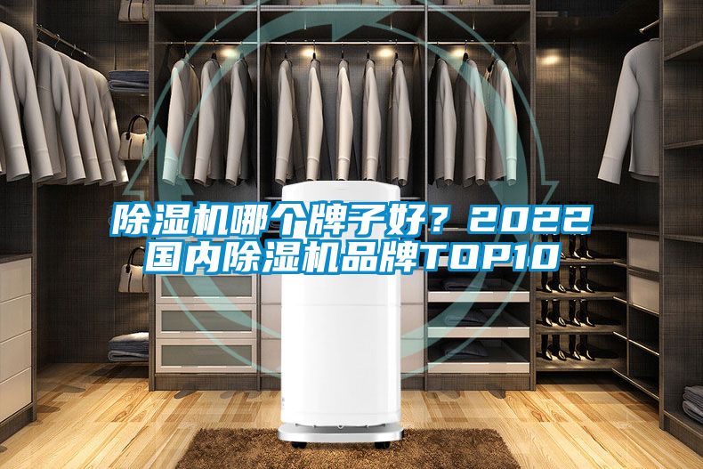 除濕機哪個牌子好?2022國內除濕機品牌TOP10