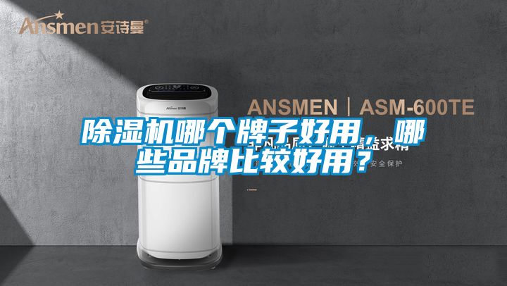除濕機哪個牌子好用，哪些品牌比較好用？
