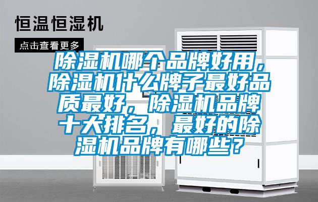 除濕機哪個品牌好用,除濕機什么牌子最好品質最好,除濕機品牌十大排名,最好的除濕機品牌有哪些?