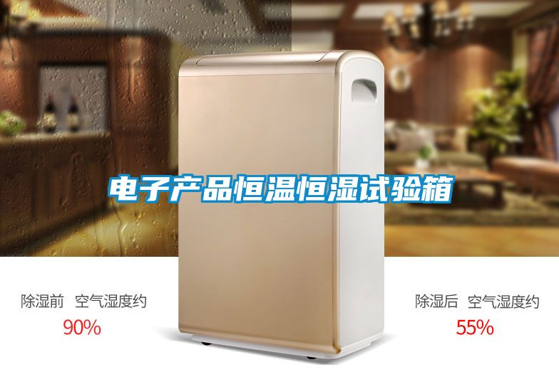 電子產品恒溫恒濕試驗箱